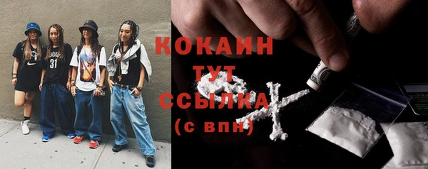 крисы Алексин