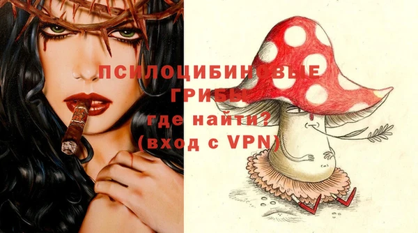 крисы Алексин