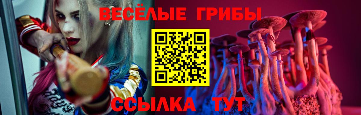 Галлюциногенные грибы Magic Shrooms Котовск